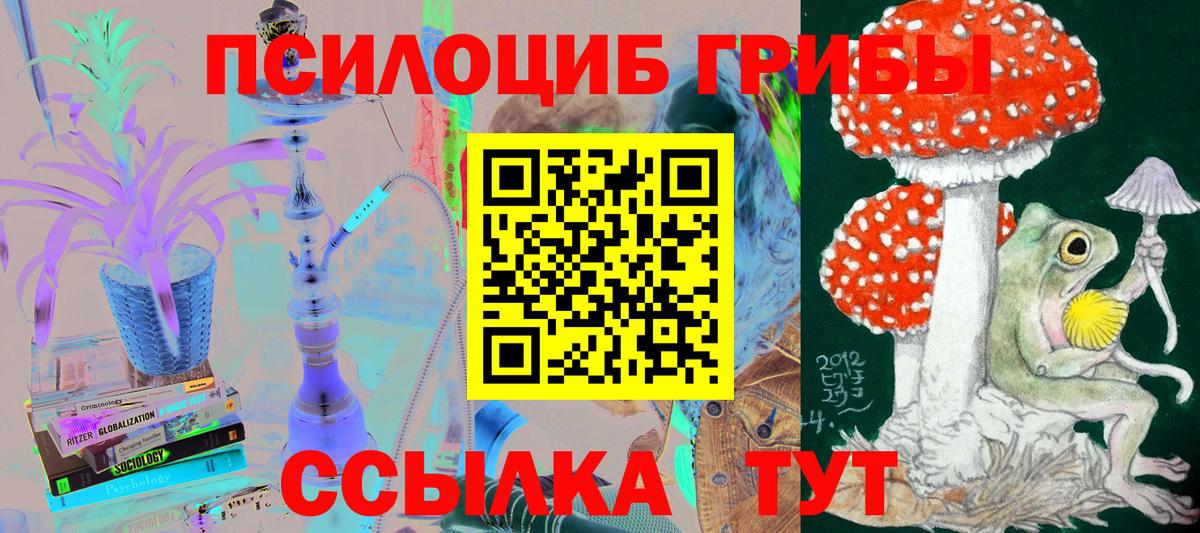 Великий Новгород  Псилоцибиновые грибы Cubensis  Вход с VPN  продажа наркотиков  Псилоцибиновые грибы Psilocybe 
