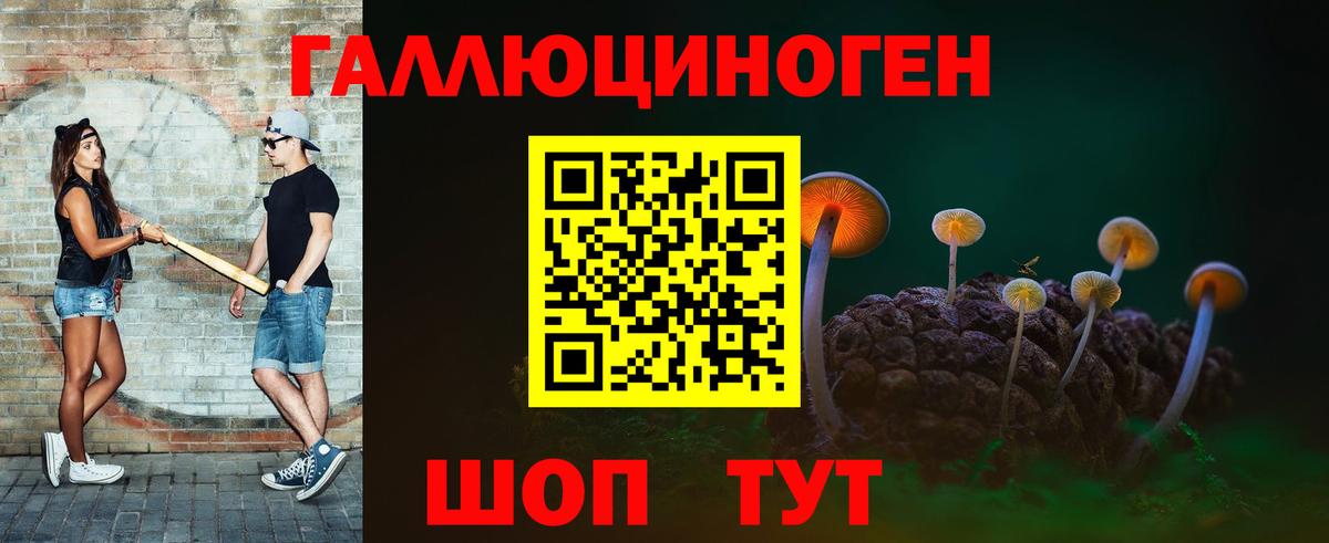 Псилоцибиновые грибы мицелий Великий Новгород
